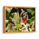 Abeja - Rodrigo Zabal | Cuadro decorativo de Canvas Lab