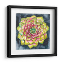Rosette Suculenta Iii - Chariklia Zarris | Cuadro decorativo de Canvas Lab
