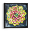 Rosette Suculenta Iii - Chariklia Zarris | Cuadro decorativo de Canvas Lab
