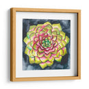 Rosette Suculenta Iii - Chariklia Zarris | Cuadro decorativo de Canvas Lab