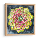 Rosette Suculenta Iii - Chariklia Zarris | Cuadro decorativo de Canvas Lab