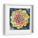 Rosette Suculenta Iii - Chariklia Zarris | Cuadro decorativo de Canvas Lab