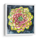 Rosette Suculenta Iii - Chariklia Zarris | Cuadro decorativo de Canvas Lab