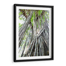 Árbol - Rodrigo Zabal | Cuadro decorativo de Canvas Lab