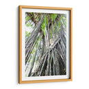 Árbol - Rodrigo Zabal | Cuadro decorativo de Canvas Lab