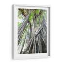 Árbol - Rodrigo Zabal | Cuadro decorativo de Canvas Lab