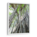 Árbol - Rodrigo Zabal | Cuadro decorativo de Canvas Lab