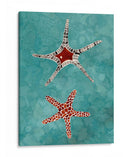 Twin Starfish I - Alicia Ludwig | Cuadro decorativo de Canvas Lab