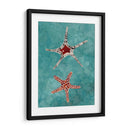 Twin Starfish I - Alicia Ludwig | Cuadro decorativo de Canvas Lab