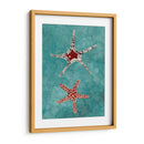 Twin Starfish I - Alicia Ludwig | Cuadro decorativo de Canvas Lab