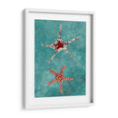 Twin Starfish I - Alicia Ludwig | Cuadro decorativo de Canvas Lab