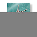 Twin Starfish I - Alicia Ludwig | Cuadro decorativo de Canvas Lab