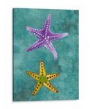 Twin Starfish Ii - Alicia Ludwig | Cuadro decorativo de Canvas Lab