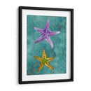 Twin Starfish Ii - Alicia Ludwig | Cuadro decorativo de Canvas Lab