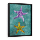 Twin Starfish Ii - Alicia Ludwig | Cuadro decorativo de Canvas Lab