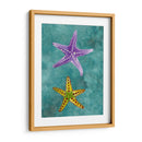 Twin Starfish Ii - Alicia Ludwig | Cuadro decorativo de Canvas Lab