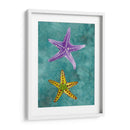 Twin Starfish Ii - Alicia Ludwig | Cuadro decorativo de Canvas Lab