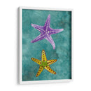 Twin Starfish Ii - Alicia Ludwig | Cuadro decorativo de Canvas Lab
