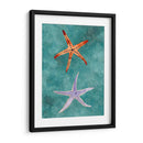 Twin Starfish Iii - Alicia Ludwig | Cuadro decorativo de Canvas Lab
