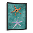 Twin Starfish Iii - Alicia Ludwig | Cuadro decorativo de Canvas Lab