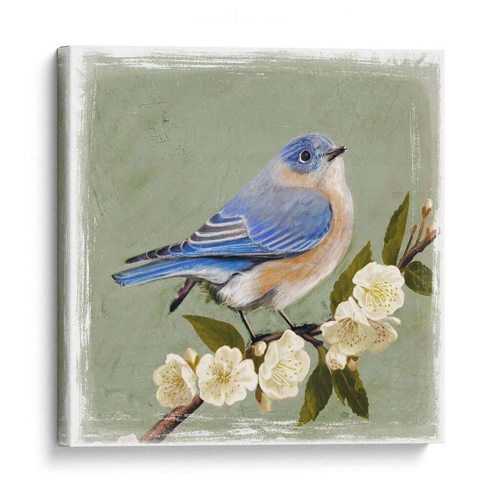 Bluebird Branch I - Victoria Borges | Cuadro decorativo de Canvas Lab