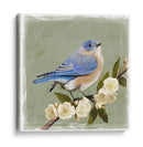 Bluebird Branch I - Victoria Borges | Cuadro decorativo de Canvas Lab