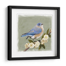 Bluebird Branch I - Victoria Borges | Cuadro decorativo de Canvas Lab