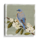 Bluebird Branch Ii - Victoria Borges | Cuadro decorativo de Canvas Lab