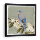 Bluebird Branch Ii - Victoria Borges | Cuadro decorativo de Canvas Lab