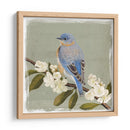 Bluebird Branch Ii - Victoria Borges | Cuadro decorativo de Canvas Lab