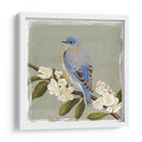 Bluebird Branch Ii - Victoria Borges | Cuadro decorativo de Canvas Lab