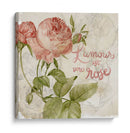 Rosa Romance Yo - Jennifer Paxton Parker | Cuadro decorativo de Canvas Lab