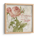Rosa Romance Yo - Jennifer Paxton Parker | Cuadro decorativo de Canvas Lab