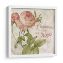 Rosa Romance Yo - Jennifer Paxton Parker | Cuadro decorativo de Canvas Lab