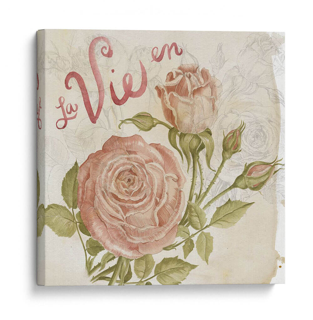 Rose Romance Ii - Jennifer Paxton Parker | Cuadro decorativo de Canvas Lab
