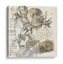 Rose Romance Iv - Jennifer Paxton Parker | Cuadro decorativo de Canvas Lab