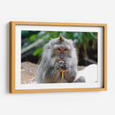 Chango comiendo - Rodrigo Zabal | Cuadro decorativo de Canvas Lab