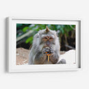 Chango comiendo - Rodrigo Zabal | Cuadro decorativo de Canvas Lab