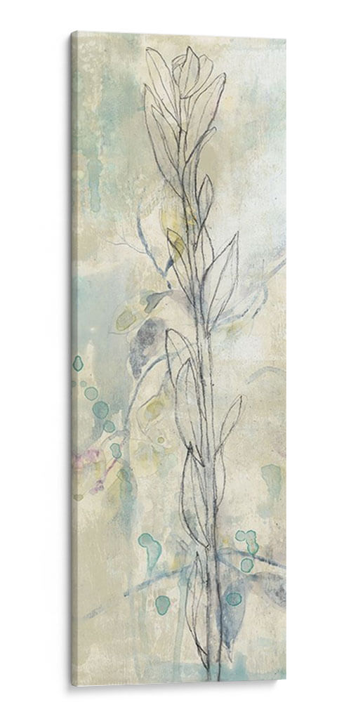 Contorno Stem I - Jennifer Goldberger | Cuadro decorativo de Canvas Lab