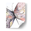 Mariposa I - Leticia Herrera | Cuadro decorativo de Canvas Lab