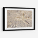 Estrella de mar - Rodrigo Zabal | Cuadro decorativo de Canvas Lab