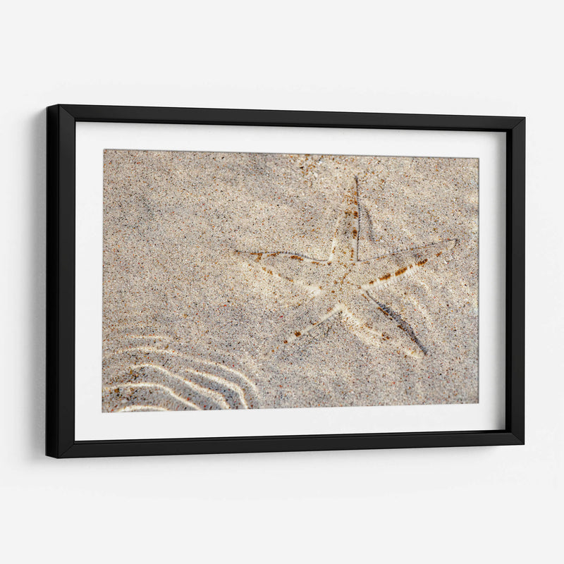 Estrella de mar - Rodrigo Zabal | Cuadro decorativo de Canvas Lab