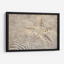 Estrella de mar - Rodrigo Zabal | Cuadro decorativo de Canvas Lab