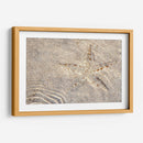 Estrella de mar - Rodrigo Zabal | Cuadro decorativo de Canvas Lab