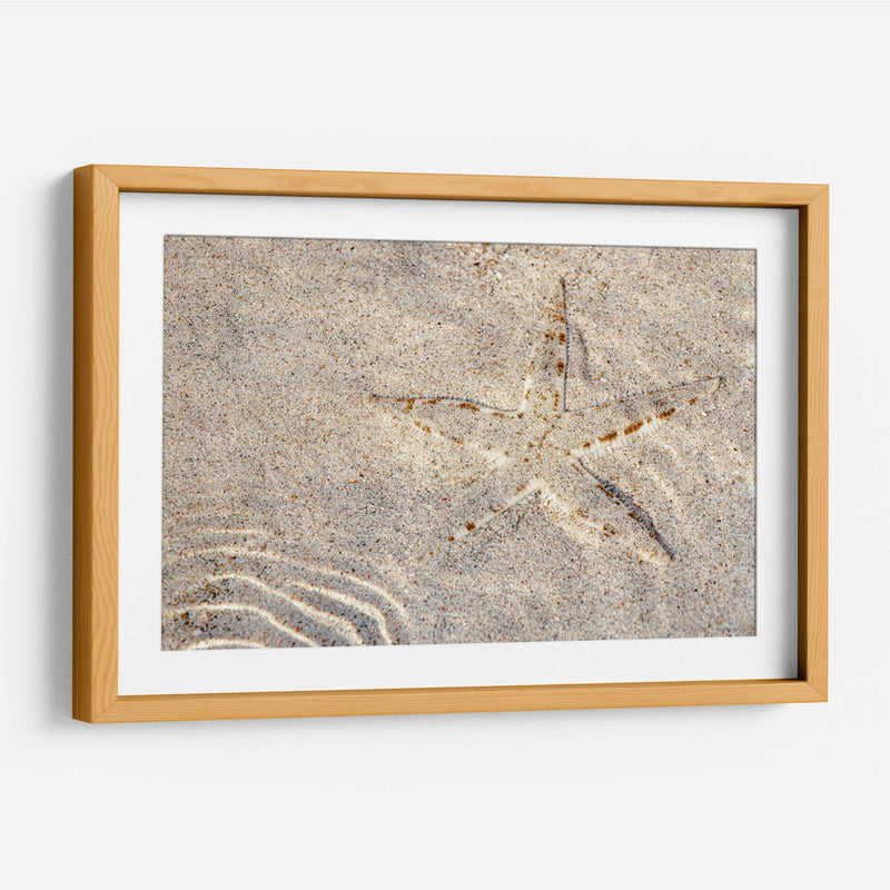Estrella de mar - Rodrigo Zabal | Cuadro decorativo de Canvas Lab