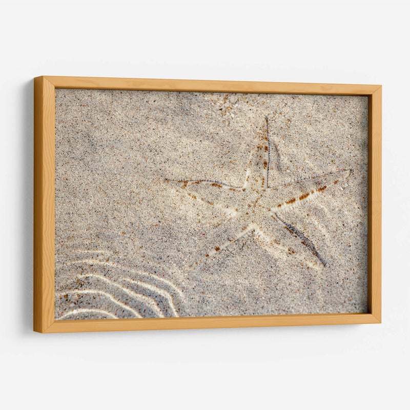 Estrella de mar - Rodrigo Zabal | Cuadro decorativo de Canvas Lab