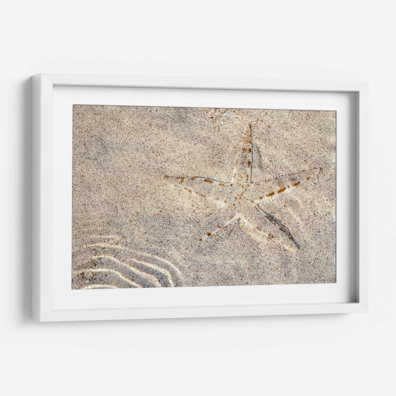 Estrella de mar - Rodrigo Zabal | Cuadro decorativo de Canvas Lab