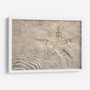Estrella de mar - Rodrigo Zabal | Cuadro decorativo de Canvas Lab