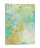 Wim Iii - Sue Jachimiec | Cuadro decorativo de Canvas Lab