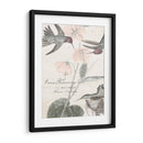 Colibríes Blandos I - Studio W | Cuadro decorativo de Canvas Lab